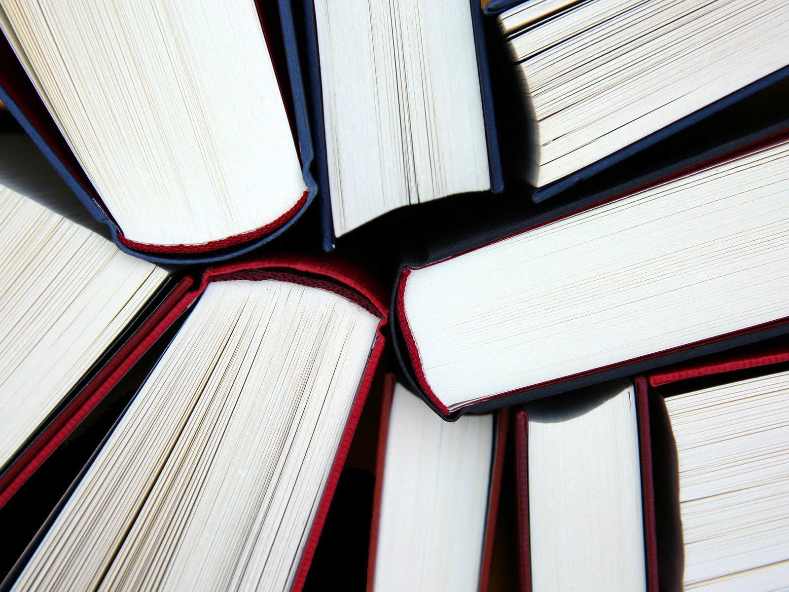 Livres épais de type textes de lois, règlement,...