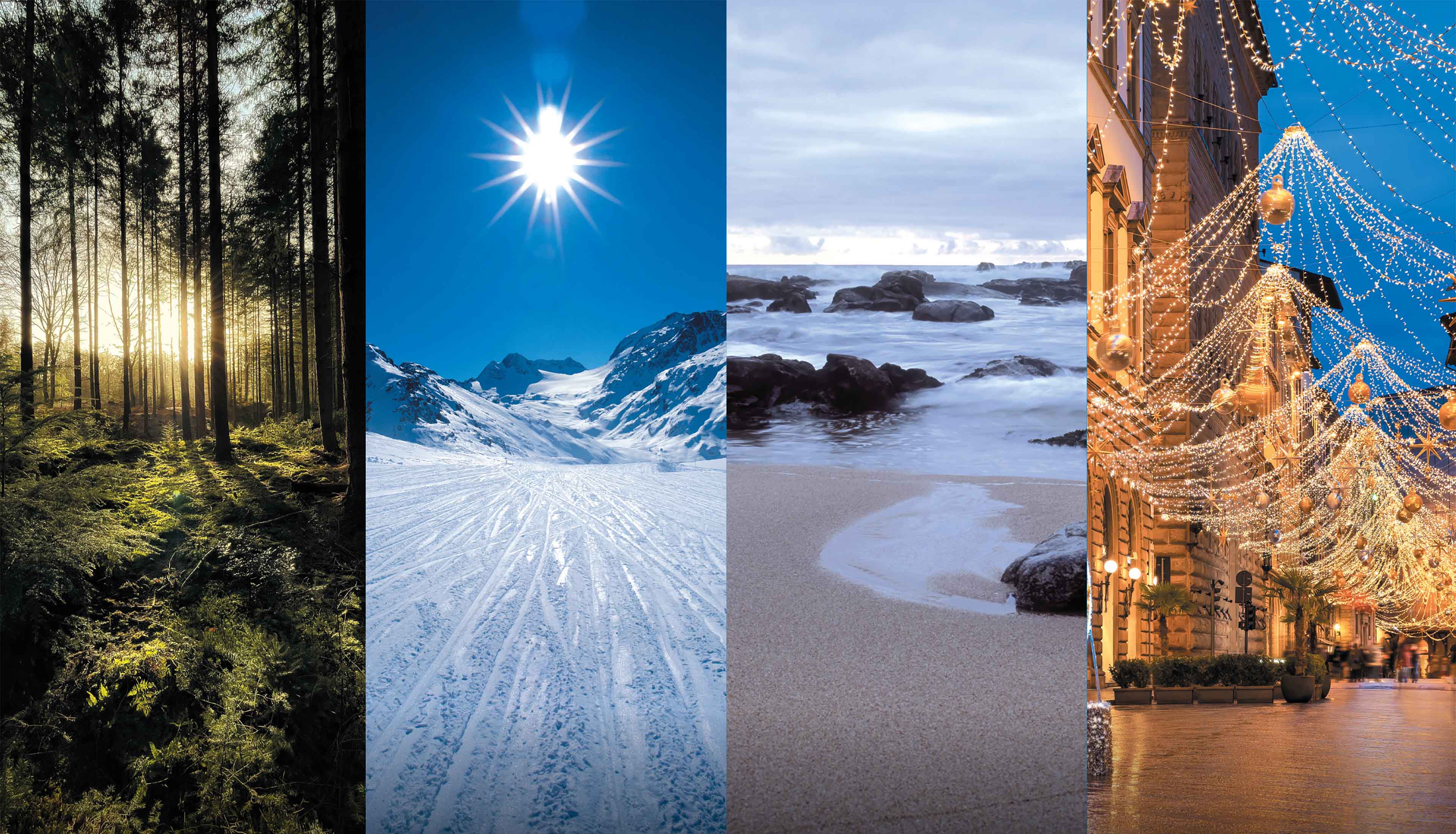mosaïque de paysages, forêt, montagne, mer, ville