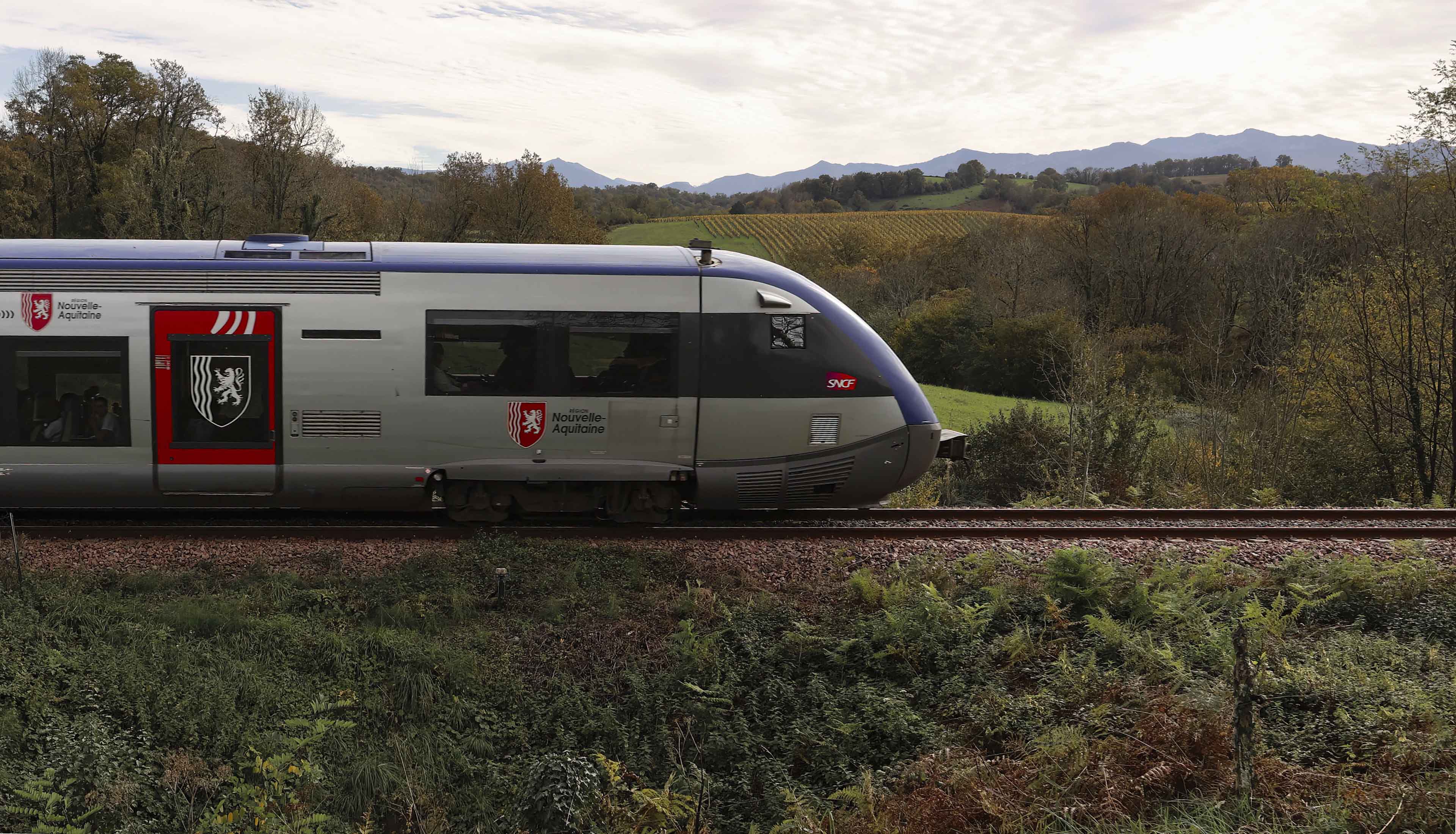 Train TER devant les Pyérénes