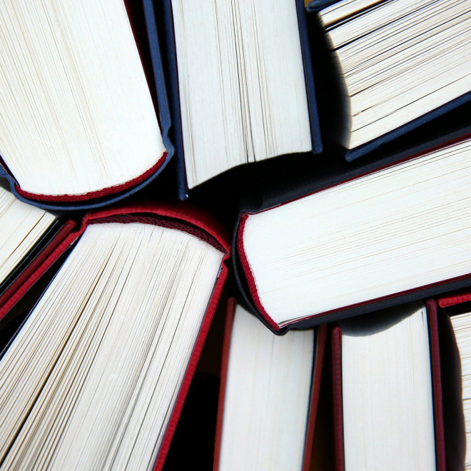 Livres épais de type textes de lois, règlement,...