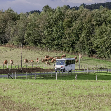 Mobilités locales en Haute-Vienne