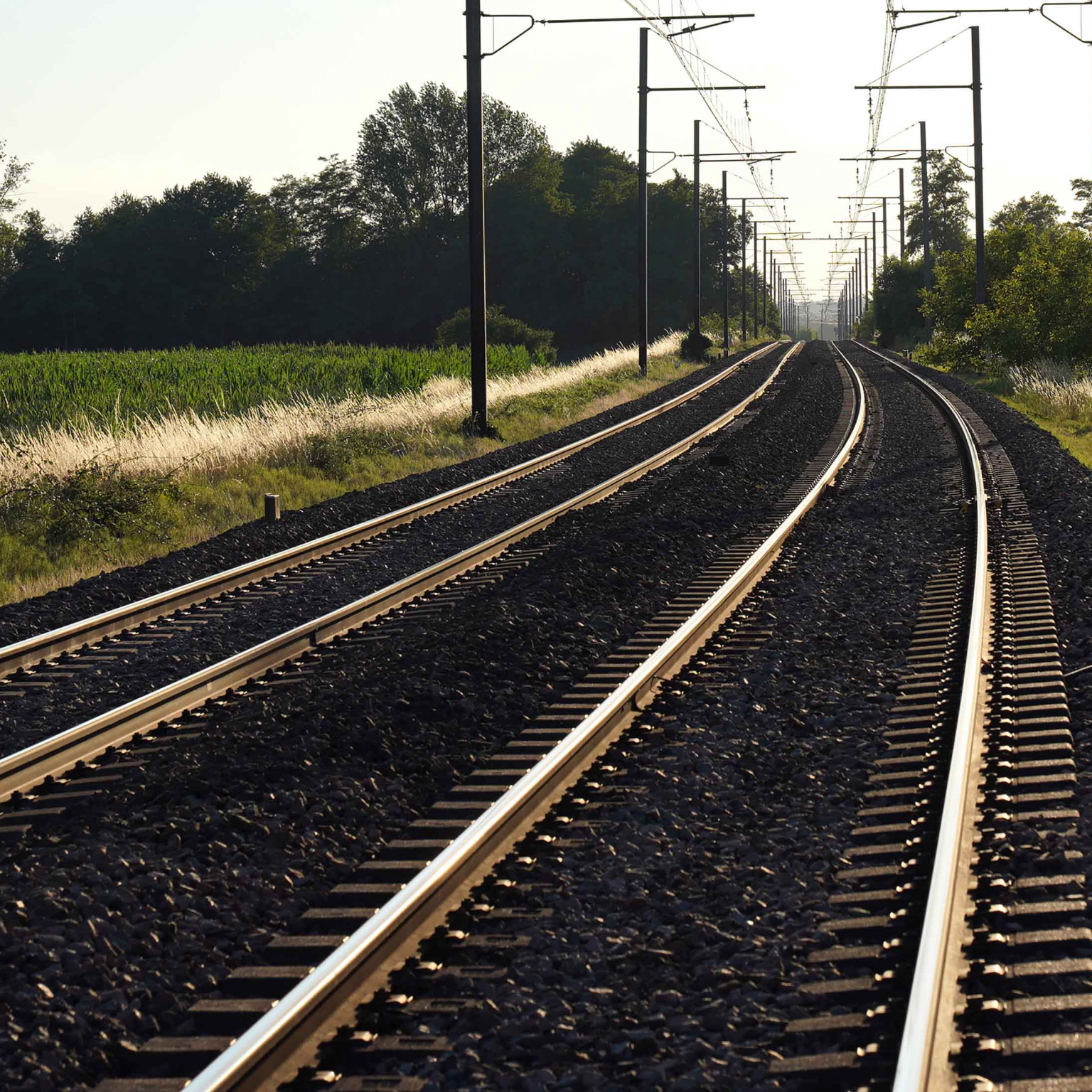 Une voie ferrée en Nouvelle-Aquitaine, dans un paysage agricole.