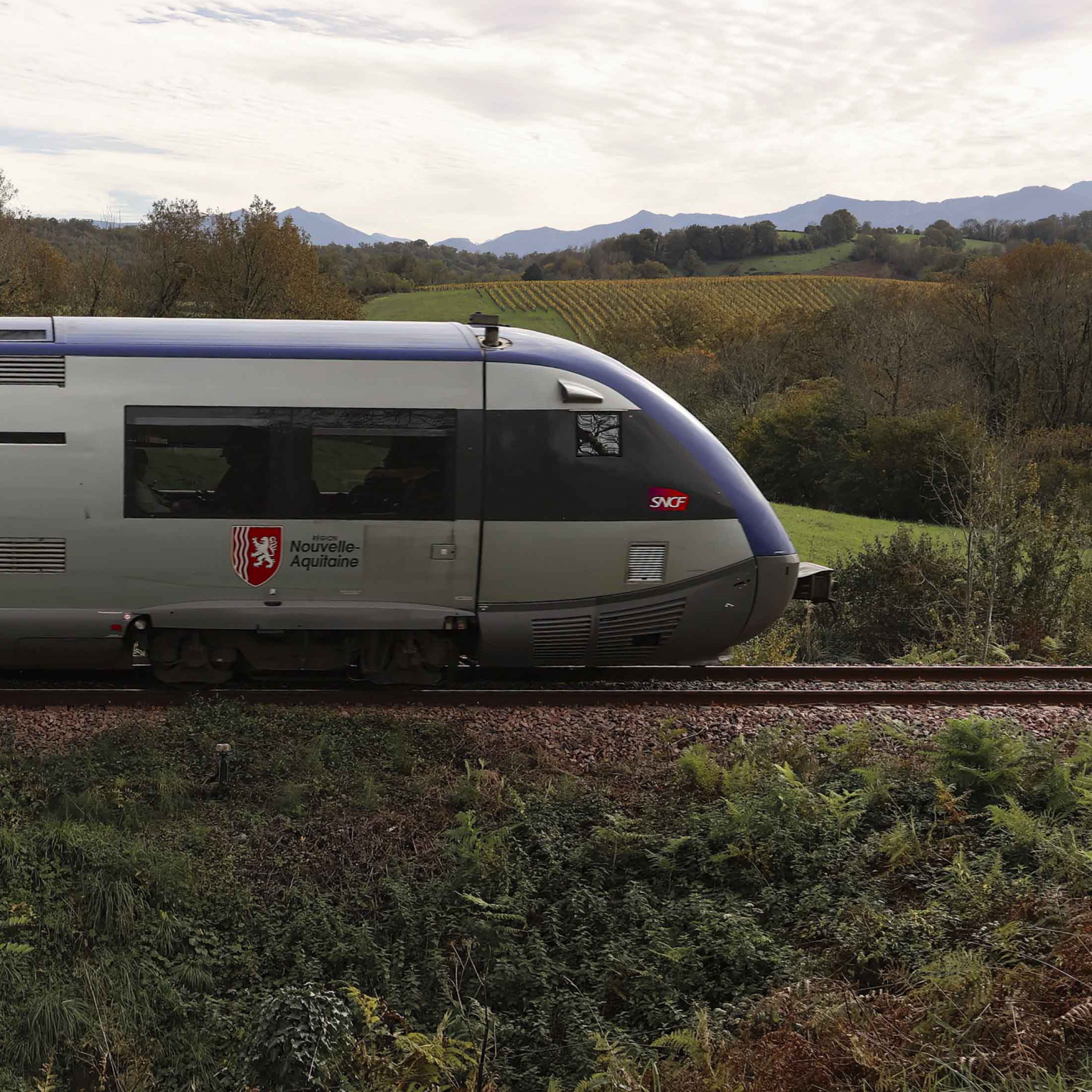 Train TER devant les Pyérénes